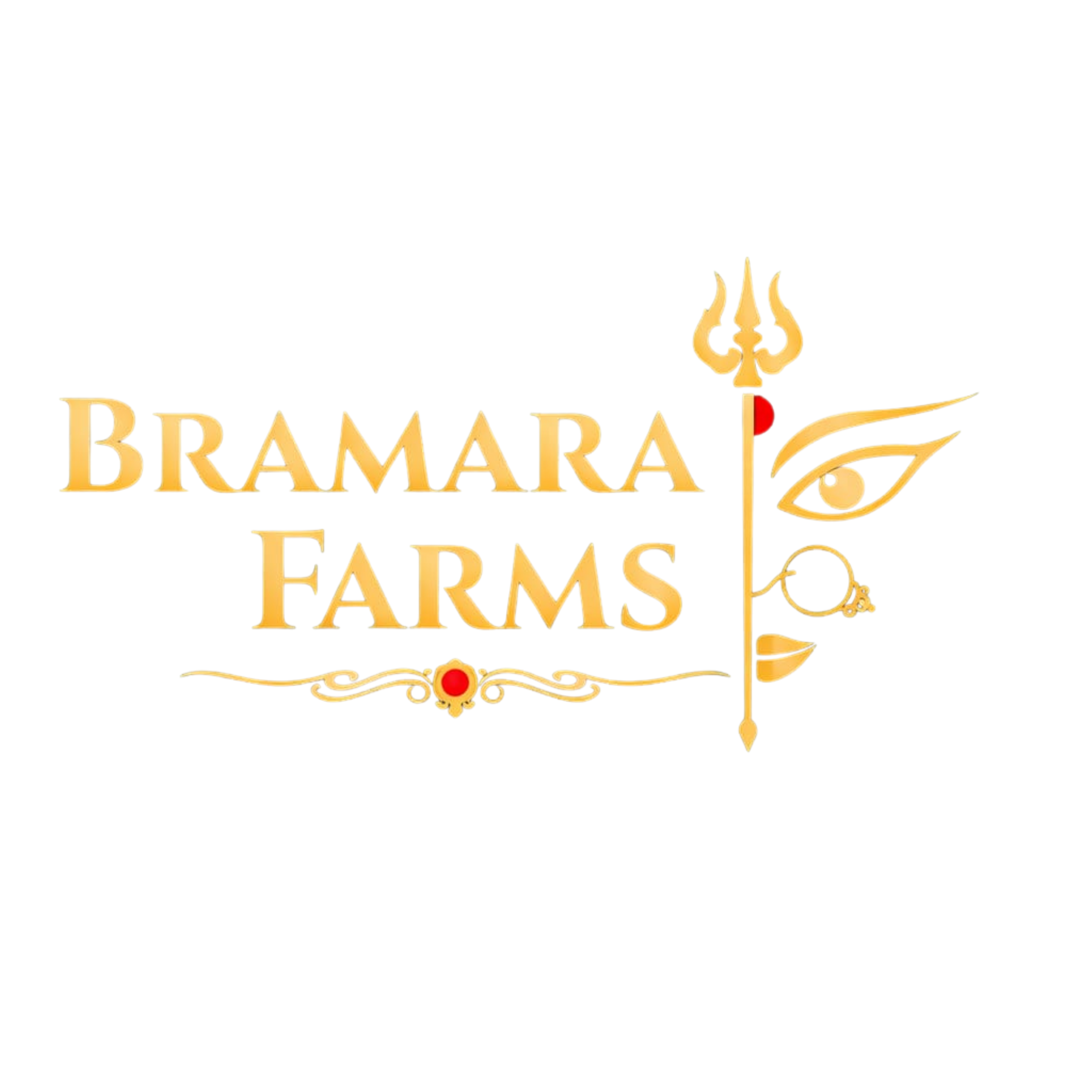 bramara broucher (8)